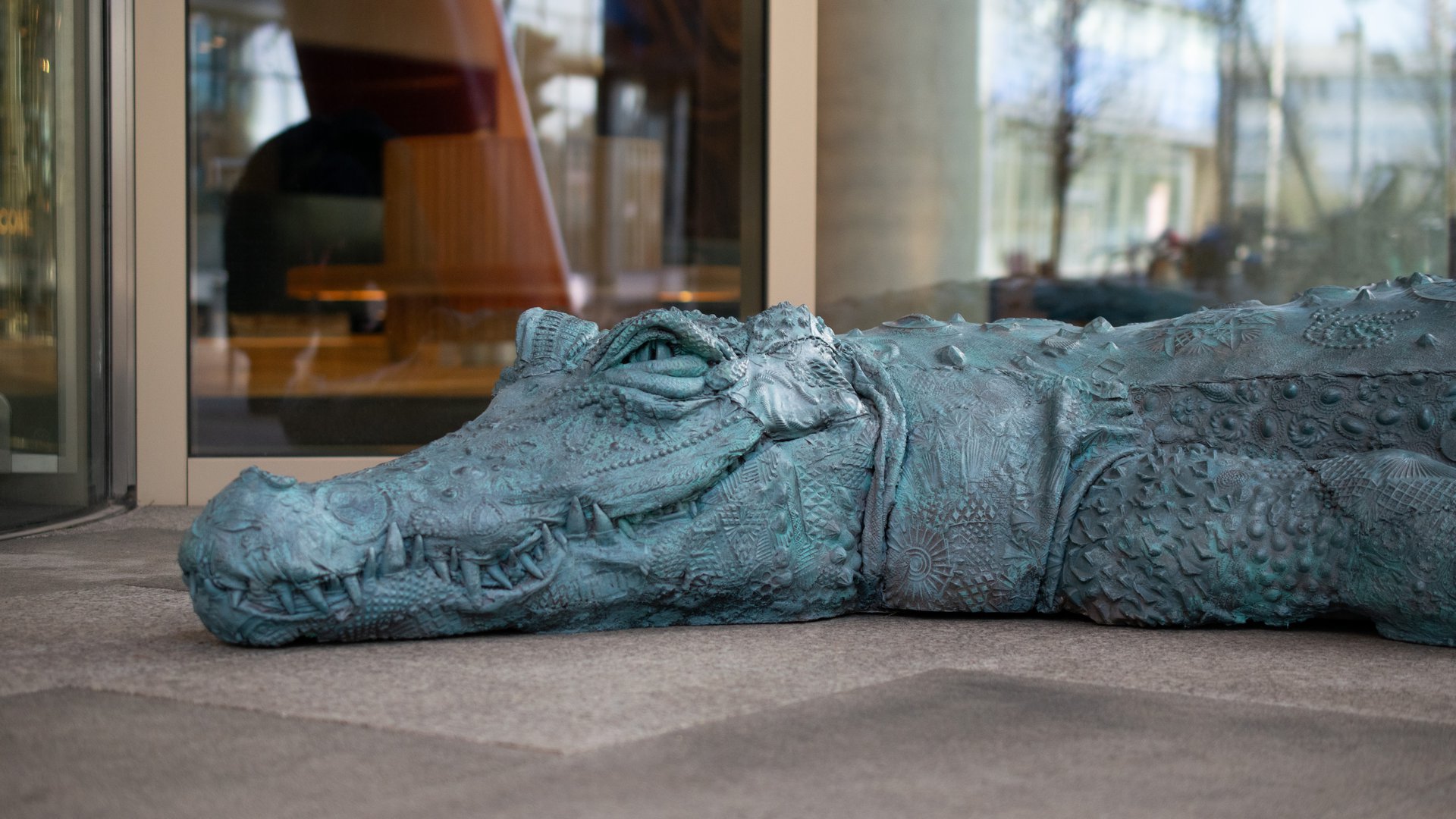 Wb 1920X1080 Crocodile2