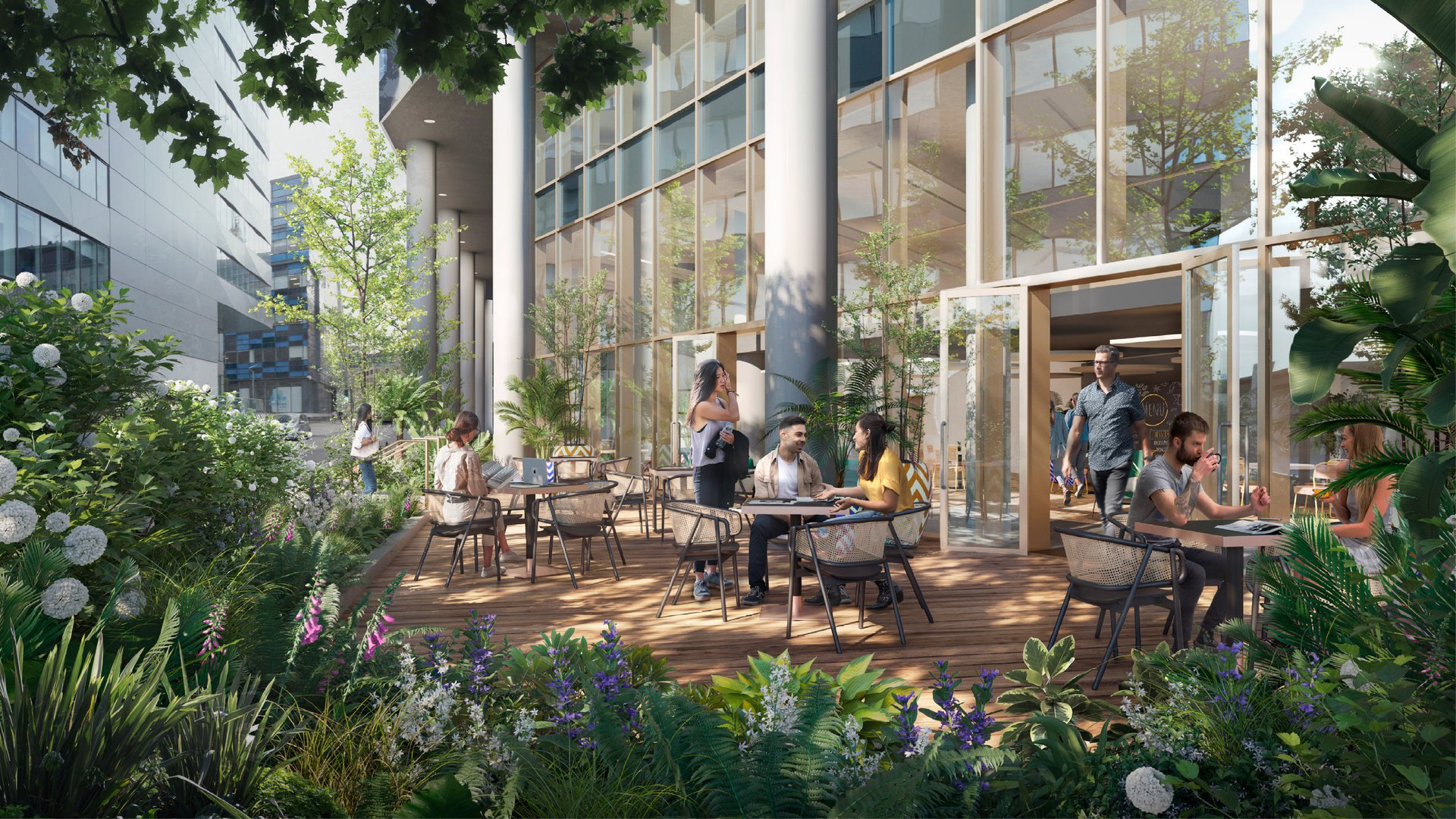 Wb New Websites Pics 01