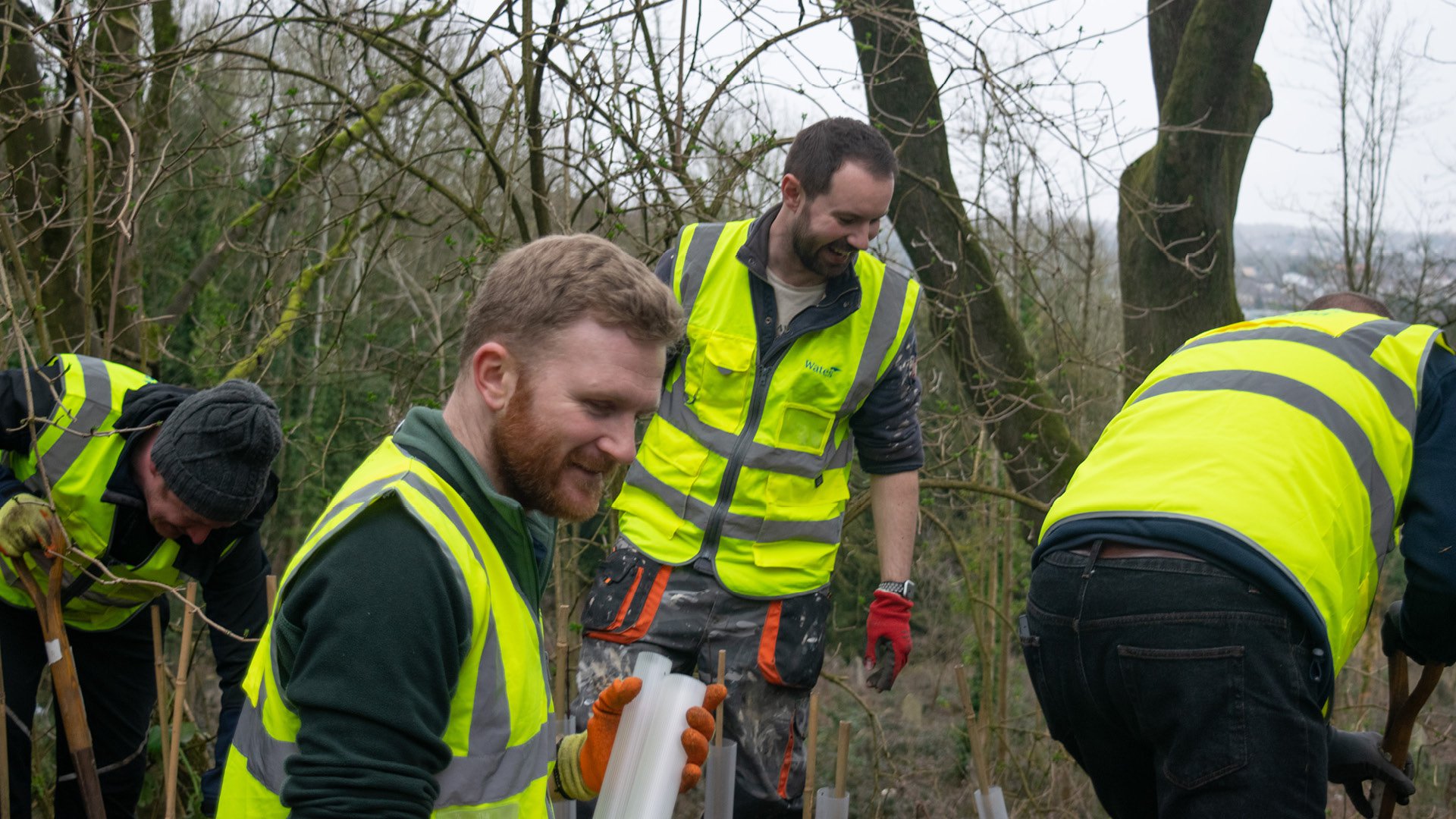 Wb Treeplanting Landscape 01