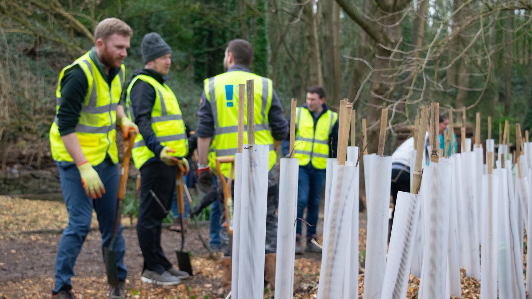 Wb Treeplanting Landscape 013