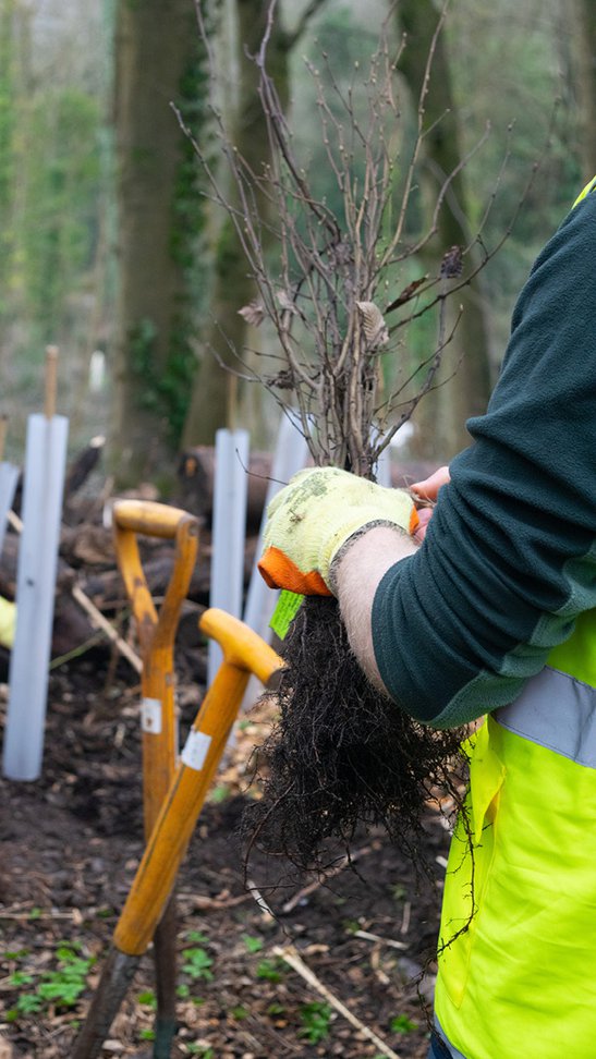Wb Treeplanting Portrait 012